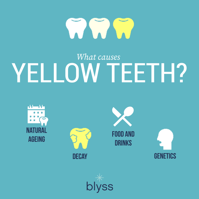 what causes yellow teeth infographics - blyss dental
