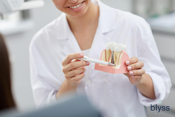 smiling female dentist holding teeth and dental implant model with a patient in clinic